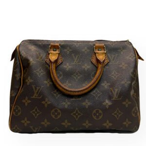 Louis Vuitton Monogram Speedy 25 Bag